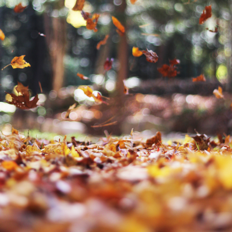 5 Tips for Glowing Skin This Fall